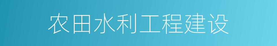 农田水利工程建设的同义词