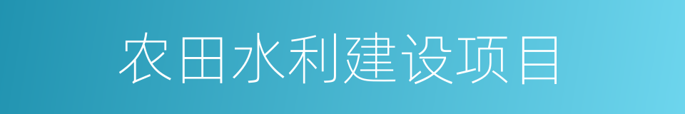 农田水利建设项目的同义词