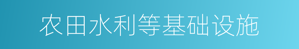 农田水利等基础设施的同义词