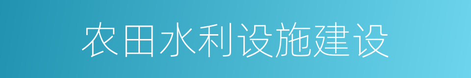 农田水利设施建设的同义词