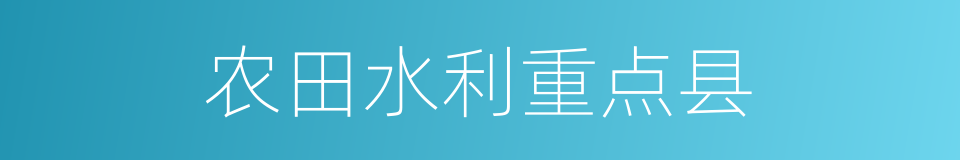 农田水利重点县的同义词