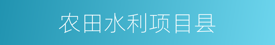 农田水利项目县的同义词