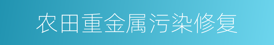 农田重金属污染修复的同义词