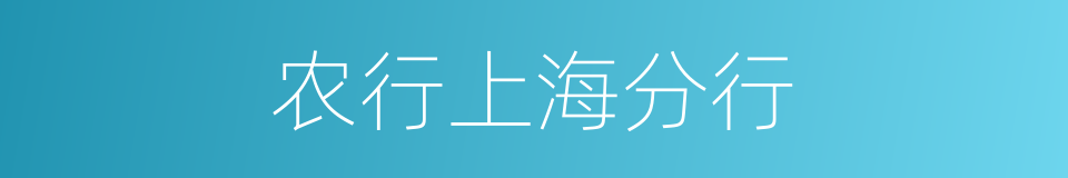 农行上海分行的同义词