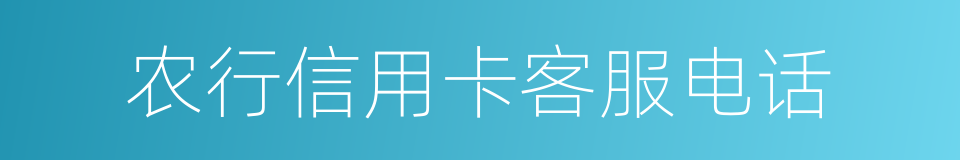 农行信用卡客服电话的同义词