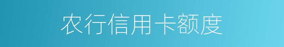 农行信用卡额度的同义词