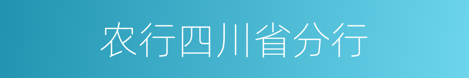 农行四川省分行的同义词