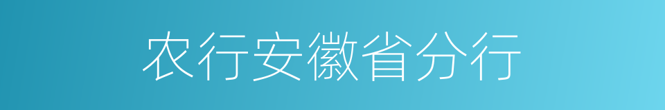 农行安徽省分行的同义词