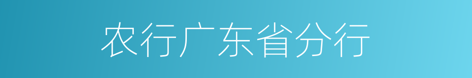 农行广东省分行的同义词