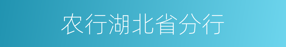 农行湖北省分行的同义词