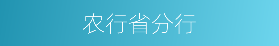 农行省分行的同义词