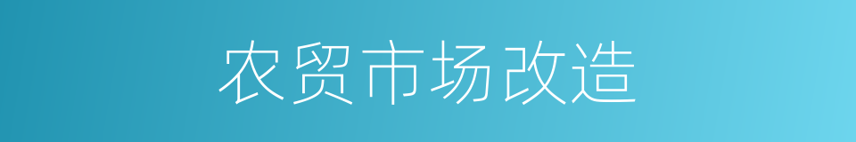 农贸市场改造的同义词