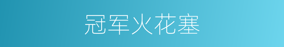 冠军火花塞的同义词