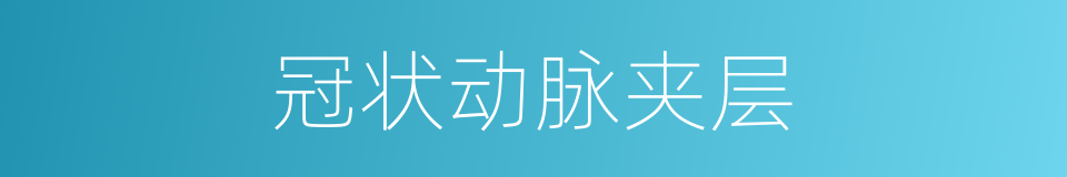 冠状动脉夹层的同义词
