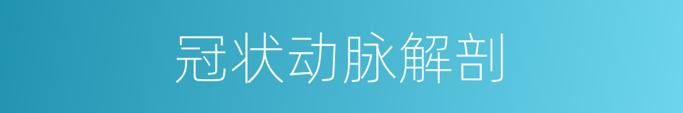 冠状动脉解剖的同义词