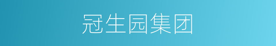 冠生园集团的同义词