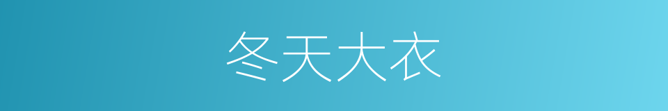 冬天大衣的同义词