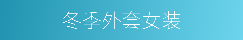 冬季外套女装的同义词