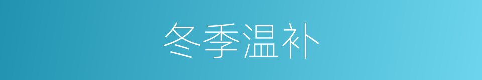 冬季温补的同义词