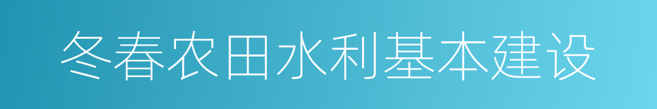 冬春农田水利基本建设的同义词