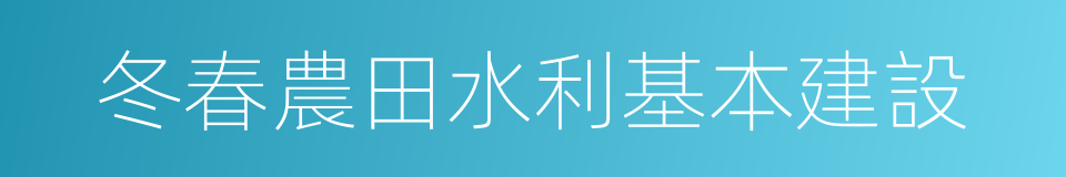 冬春農田水利基本建設的同義詞