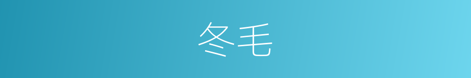 冬毛的同义词