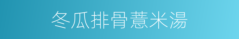 冬瓜排骨薏米湯的同義詞