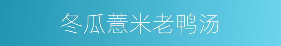 冬瓜薏米老鸭汤的同义词