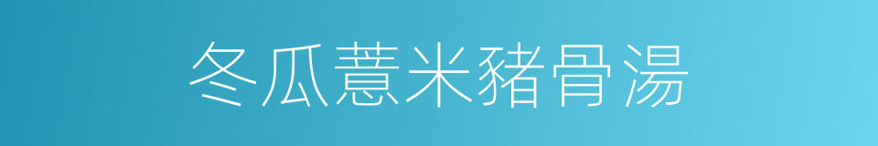 冬瓜薏米豬骨湯的同義詞