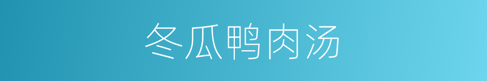 冬瓜鸭肉汤的同义词