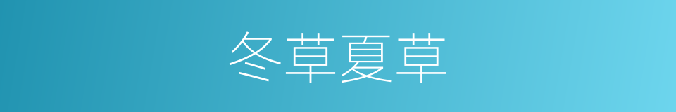 冬草夏草的同义词