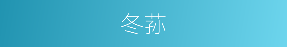 冬荪的同义词