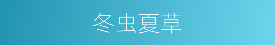 冬虫夏草的意思