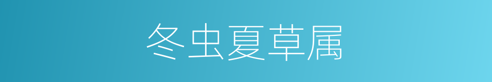 冬虫夏草属的同义词