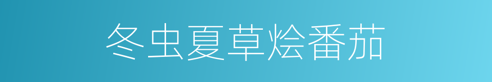 冬虫夏草烩番茄的同义词