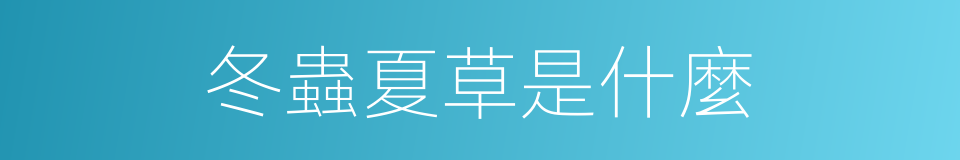 冬蟲夏草是什麼的意思