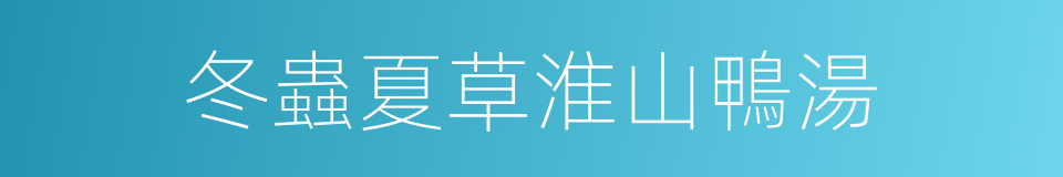 冬蟲夏草淮山鴨湯的同義詞
