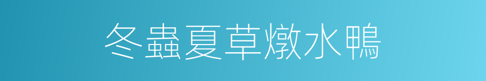 冬蟲夏草燉水鴨的同義詞