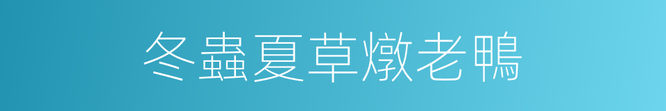 冬蟲夏草燉老鴨的同義詞