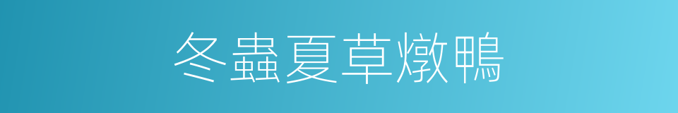 冬蟲夏草燉鴨的同義詞