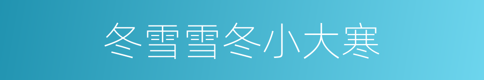 冬雪雪冬小大寒的同义词