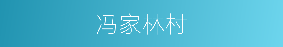 冯家林村的同义词