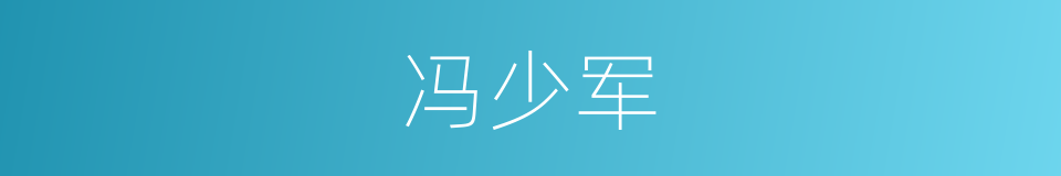 冯少军的同义词