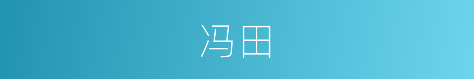 冯田的同义词