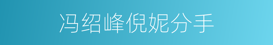 冯绍峰倪妮分手的同义词