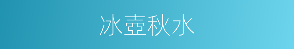 冰壺秋水的同義詞