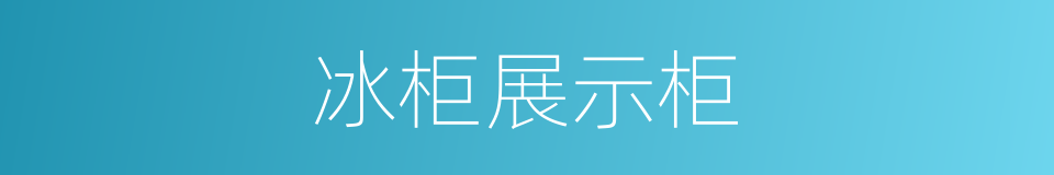 冰柜展示柜的同义词