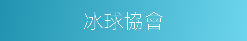 冰球協會的同義詞