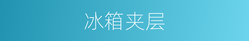 冰箱夹层的同义词
