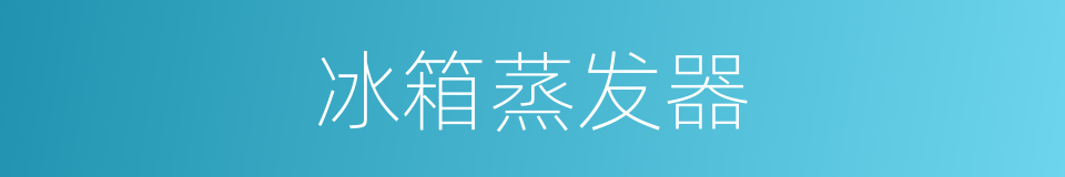 冰箱蒸发器的同义词